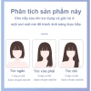 Thuốc nhuộm tóc nâu xám hạt dẻ - Bộ dụng cụ nhuộm đầy đủ, giá chỉ 81.114₫ 6