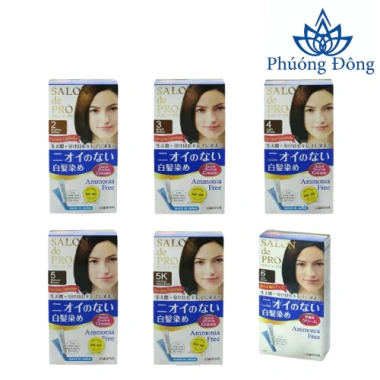 Thuốc Nhuộm Tóc Nữ Phủ Bạc Salon de Pro Nhật Bản - Giá 185.000 Giảm 38k