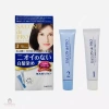 Thuốc Nhuộm Tóc Nữ Phủ Bạc Salon de Pro Nhật Bản - Giá 185.000 Giảm 38k 3