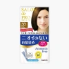 Thuốc Nhuộm Tóc Nữ Phủ Bạc Salon de Pro Nhật Bản - Giá 185.000 Giảm 38k 9