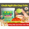 Thuốc Phun Đa Năng Xua Chuột Diệt Sâu Bảo Vệ Mùa Màng & Kho Bãi - 163.911đ 8