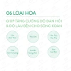 Thuốc Uốn Lạnh SOTE Blooming Perm 400ml - Giữ Nếp Lâu, Tạo Sóng Tự Nhiên, pH 9.5 4