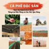Thuốc vệ sinh Cafetto EC2 1.000g - Rửa vòi chiết suất espresso, chỉ 350.000 VNĐ 4