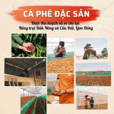 Thuốc vệ sinh Cafetto EC2 1.000g - Rửa vòi chiết suất espresso, chỉ 350.000 VNĐ
