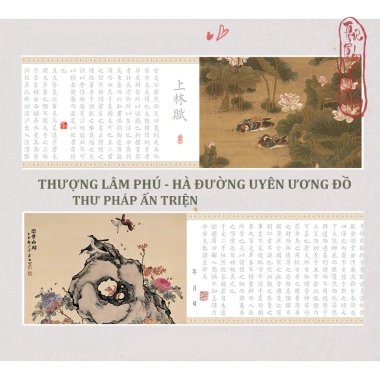 Thượng Lâm Phú Uyên Ương Đồ 520cm Luyện Chữ Hán Tiểu Khải - Tặng Bút Mực & Dây Tua Rua - 52.000đ 8