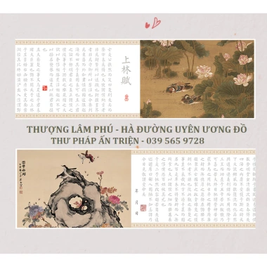 Thượng Lâm Phú Uyên Ương Đồ 520cm Luyện Chữ Hán Tiểu Khải - Tặng Bút Mực & Dây Tua Rua - 52.000đ 10