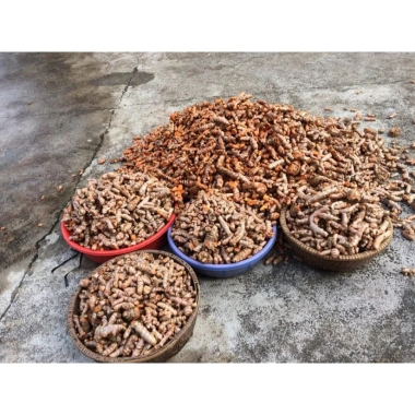 Tinh bột nghệ mật ong 500g - Giảm 22% chỉ 90.000đ, hỗ trợ sức đề kháng, làm đẹp da 2 Tinh bột nghệ mật ong 500g - Giảm 22% chỉ 90.000đ, hỗ trợ sức đề kháng, làm đẹp da 2