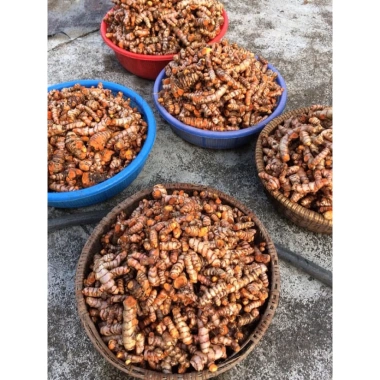 Tinh bột nghệ mật ong 500g - Giảm 22% chỉ 90.000đ, hỗ trợ sức đề kháng, làm đẹp da