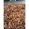 Tinh bột nghệ mật ong 500g - Giảm 22% chỉ 90.000đ, hỗ trợ sức đề kháng, làm đẹp da 4
