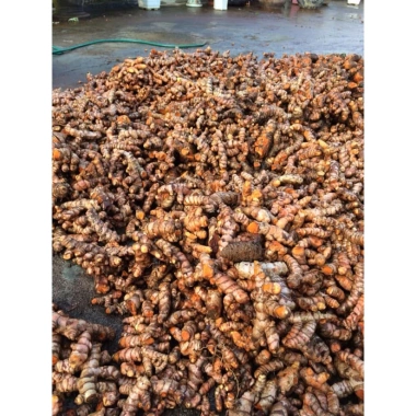 Tinh bột nghệ mật ong 500g - Giảm 22% chỉ 90.000đ, hỗ trợ sức đề kháng, làm đẹp da