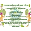 Tinh Bột Nghệ Trắng QNA FARM 385gr - Cucurmin cao, kháng khuẩn, giảm viêm, 103k 2