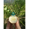 Tinh Bột Nghệ Trắng QNA FARM 385gr - Cucurmin cao, kháng khuẩn, giảm viêm, 103k 3