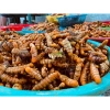 Tinh Bột Nghệ Trắng Sấy Lạnh QNA FARM 250g - Giàu Curcumin, Kháng Khuẩn, Dinh Dưỡng Cao, Giá ưu đãi 180.000đ 6