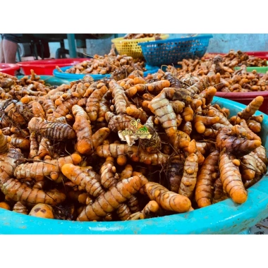 Tinh Bột Nghệ Trắng Sấy Lạnh QNA FARM 250g - Giàu Curcumin, Kháng Khuẩn, Dinh Dưỡng Cao, Giá ưu đãi 180.000đ 6