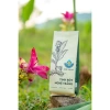 Tinh Bột Nghệ Trắng Sấy Lạnh QNA FARM 250g - Giàu Curcumin, Kháng Khuẩn, Dinh Dưỡng Cao, Giá ưu đãi 180.000đ 10