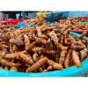 Tinh bột nghệ vàng QNA FARM 100% nguyên chất - Canh tác tự nhiên, giá ưu đãi 160.000đ tăng sức đề kháng 8