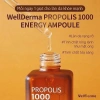 Tinh chất keo ong WellDerma Propolis 1.000 - Dưỡng da chống oxy hoá phục hồi - 294.000 5