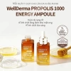 Tinh chất keo ong WellDerma Propolis 1.000 - Dưỡng da chống oxy hoá phục hồi - 294.000 6