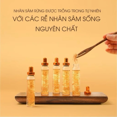 Tinh Chất Sâm Núi Manyoung Hàn Quốc Cao Cấp 30 Ống - Giá 999k, Dưỡng Sinh, Tăng Cường Sinh Lực 4 Tinh Chất Sâm Núi Manyoung Hàn Quốc Cao Cấp 30 Ống - Giá 999k, Dưỡng Sinh, Tăng Cường Sinh Lực 4