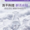 Tinh Chất Vitamin C L-Ascorbic Đông Lạnh - Chống Nếp Nhăn, Da Mịn, Phát Sáng 7