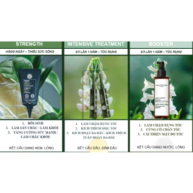 Tinh chất Yves Rocher Anti-Hair Loss White Lupin - Dưỡng tóc 16 ngày, giảm rụng, 4x15ml 940.000đ 3 Tinh chất Yves Rocher Anti-Hair Loss White Lupin - Dưỡng tóc 16 ngày, giảm rụng, 4x15ml 940.000đ 3