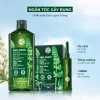 Tinh chất Yves Rocher Anti-Hair Loss White Lupin - Dưỡng tóc 16 ngày, giảm rụng, 4x15ml 940.000đ 6