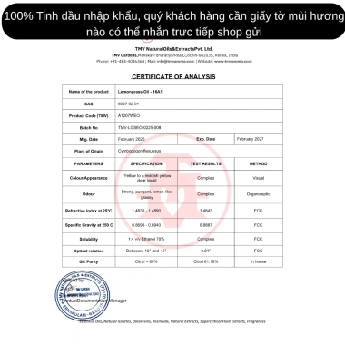 Tinh dầu bạc hà nguyên chất 500ml - Thơm phòng, dùng cho máy xông & nến thơm 2