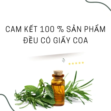 Tinh dầu cafe nguyên chất 10ml - Treo xe và phòng, hương thiên nhiên, giảm giá 29.000đ