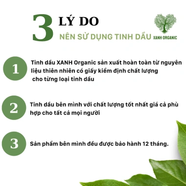 Tinh dầu cafe nguyên chất 10ml - Treo xe và phòng, hương thiên nhiên, giảm giá 29.000đ 3 Tinh dầu cafe nguyên chất 10ml - Treo xe và phòng, hương thiên nhiên, giảm giá 29.000đ 3