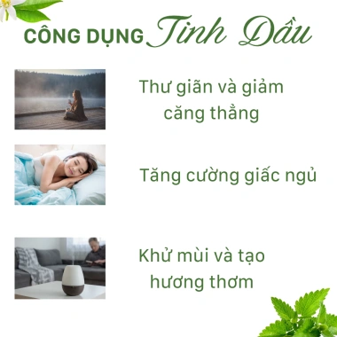 Tinh dầu cafe nguyên chất 10ml - Treo xe và phòng, hương thiên nhiên, giảm giá 29.000đ