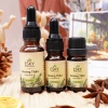 Tinh Dầu Hương Thảo Tươi ESKY AROMA GARDEN Xông Phòng, Thư Giãn, Đuổi Muỗi 10ml-20ml - 109.000 VND 2