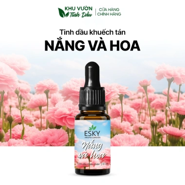 Tinh Dầu Khử Mùi Phòng, Cắm Que Đá 10ml - 12 Mùi Hương Thư Giãn, Giá 69.000 VND (Giảm từ 88.320) 17 Tinh Dầu Khử Mùi Phòng, Cắm Que Đá 10ml - 12 Mùi Hương Thư Giãn, Giá 69.000 VND (Giảm từ 88.320) 17