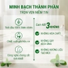 Tinh Dầu Khử Mùi & Thơm Phòng ABURA 5L - Dành cho Spa, Hotel, Tiết Kiệm 799k 8