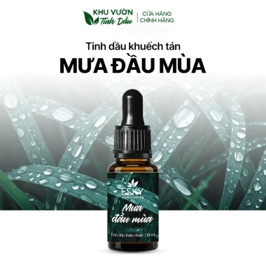 Tinh Dầu Khuếch Tán Phối Hương 6 Mùi Thư Giãn Ngủ Ngon 10ml 20ml Giá 129.000đ 3 Tinh Dầu Khuếch Tán Phối Hương 6 Mùi Thư Giãn Ngủ Ngon 10ml 20ml Giá 129.000đ 3