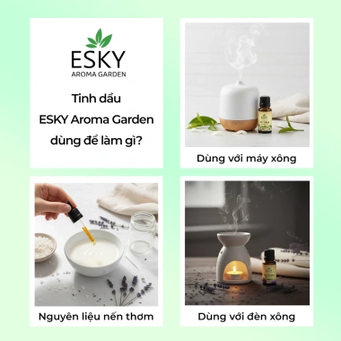 Tinh Dầu Khuếch Tán Phối Hương 6 Mùi Thư Giãn Ngủ Ngon 10ml 20ml Giá 129.000đ 8 Tinh Dầu Khuếch Tán Phối Hương 6 Mùi Thư Giãn Ngủ Ngon 10ml 20ml Giá 129.000đ 8