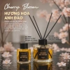 Tinh Dầu Khuếch Tán Thơm Phòng Aroma Story Nhiều Hương 50ml-100ml Ưu đãi 118.000đ 8