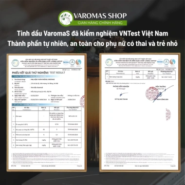 Tinh Dầu Khuếch Tán Thơm Phòng VaromaS KT15 500ml - Hương Tự Nhiên, Khử Mùi, Trang Trí Đẹp, Giá 299.000 VND