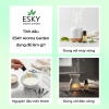 Tinh Dầu Lá Thông Nguyên Chất 10ml-20ml Xông Phòng Thông Mũi Đuổi Muỗi Giá 79.000đ 4