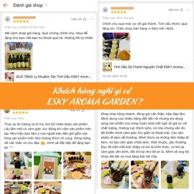 Tinh Dầu Lá Thông Nguyên Chất 10ml-20ml Xông Phòng Thông Mũi Đuổi Muỗi Giá 79.000đ 6 Tinh Dầu Lá Thông Nguyên Chất 10ml-20ml Xông Phòng Thông Mũi Đuổi Muỗi Giá 79.000đ 6