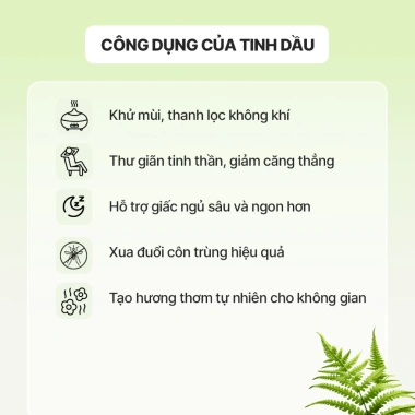 Tinh Dầu Las Vegas Nguyên Chất Xông Phòng, Thông Mũi, Đuổi Muỗi 10ml-20ml - Giá chỉ 148.000₫ 5