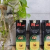 Tinh Dầu M.oil AP Serum Dưỡng Tóc Mẫu Mới Giảm Giá 190k Tóc Mượt Bóng 5