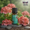 Tinh Dầu Nguyên Chất Bindi Naturals 10ml Giảm Căng Thẳng Giá 25.000đ Giảm 25% 4