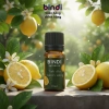 Tinh Dầu Nguyên Chất Bindi Naturals 10ml Giảm Căng Thẳng Giá 25.000đ Giảm 25% 9