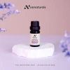 Tinh dầu nguyên chất Hoắc hương AN Naturals 10ml - Cao cấp, giá ưu đãi 239k 2
