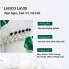 Tinh dầu nước hoa Dubai PEMIKI dạng lăn 12ml - Thơm lâu 24h nam nữ, giảm giá 87,112 10