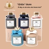 Tinh dầu nước hoa khuếch tán thơm phòng, cắm que khử mùi hôi động vật - Giá 259.000