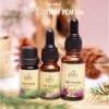 Tinh Dầu Oải Hương Nguyên Chất ESKY AROMA GARDEN Lavender Ngủ Ngon Xông Phòng Thư Giãn 10ml 20ml Giá Ưu Đãi 148.000 VND 2
