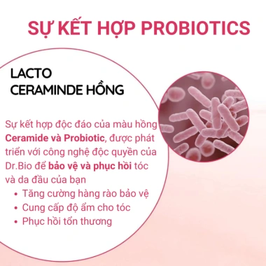 Tinh Dầu Phục Hồi Tóc Hư Tổn Probiotics Dr. Bio Pink - Dưỡng ẩm, Giúp mọc tóc, Giá ưu đãi 456.000đ 200ml 6