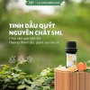 Tinh Dầu Quýt Nguyên Chất EPIS 5ml Hương Thơm Thanh Mát, Dưỡng Tóc, Tắm Giảm Stress, Giảm Say Tàu Xe – 59.000 VND