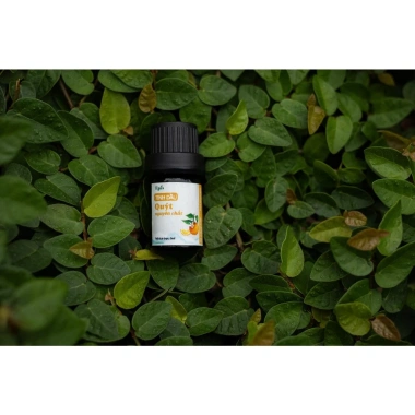 Tinh Dầu Quýt Nguyên Chất EPIS 5ml Hương Thơm Thanh Mát, Dưỡng Tóc, Tắm Giảm Stress, Giảm Say Tàu Xe – 59.000 VND